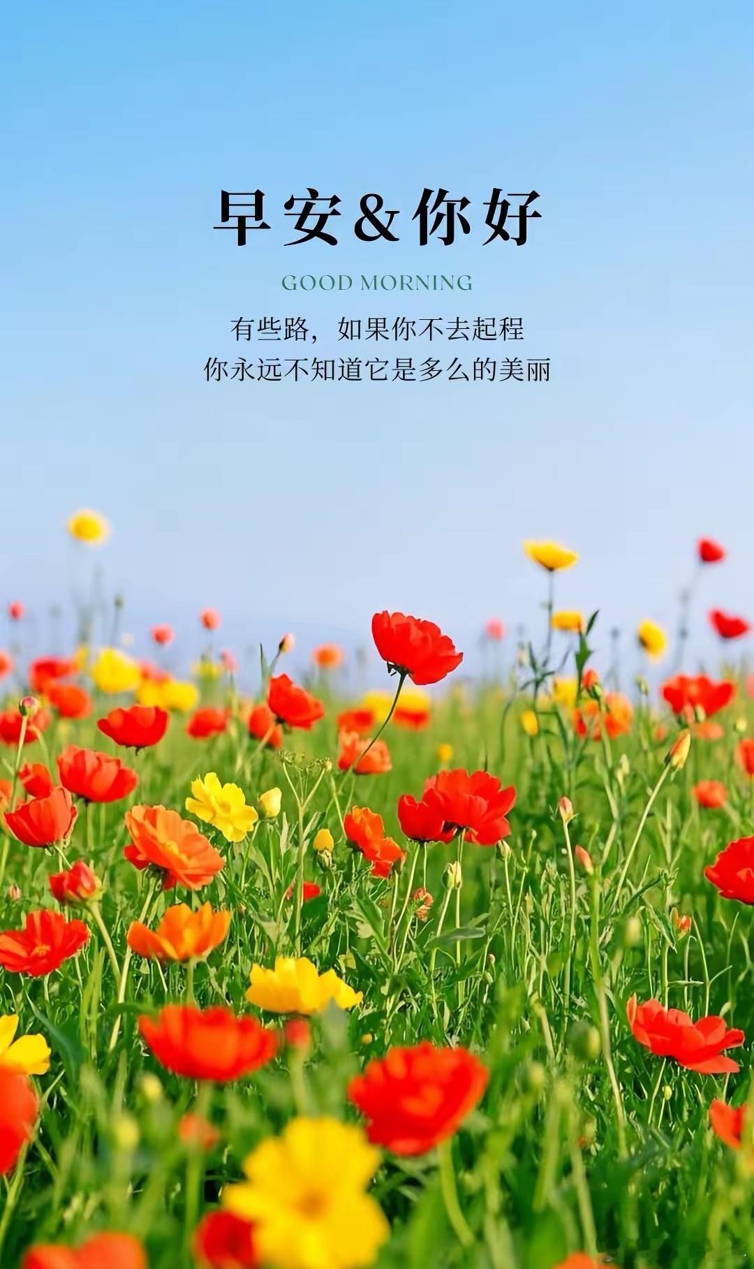 早上好[给力][鲜花] ​​​