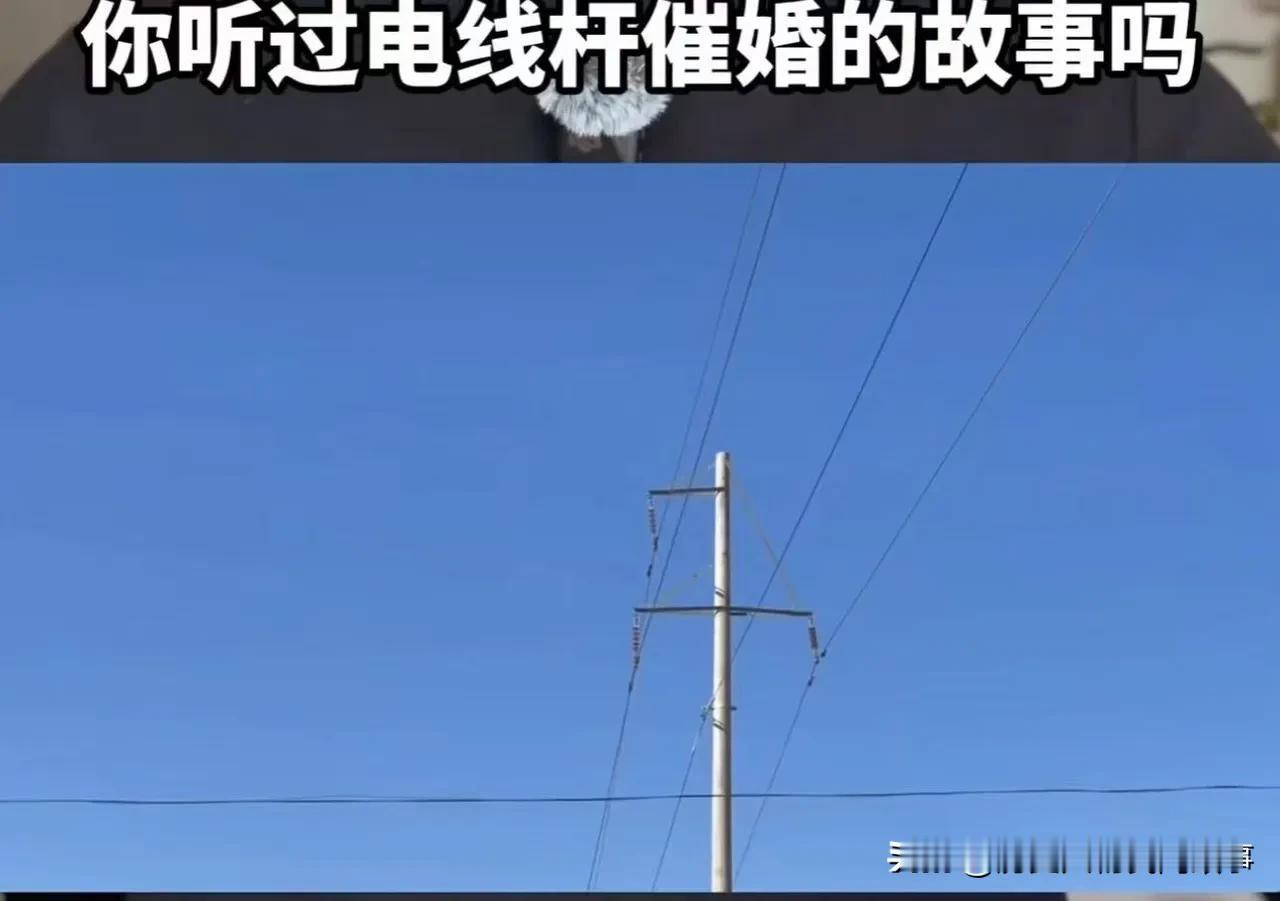 哈哈我已经开始笑了！
 
结果供电局真的来施工，把一根电线杆移走了，然后……
换