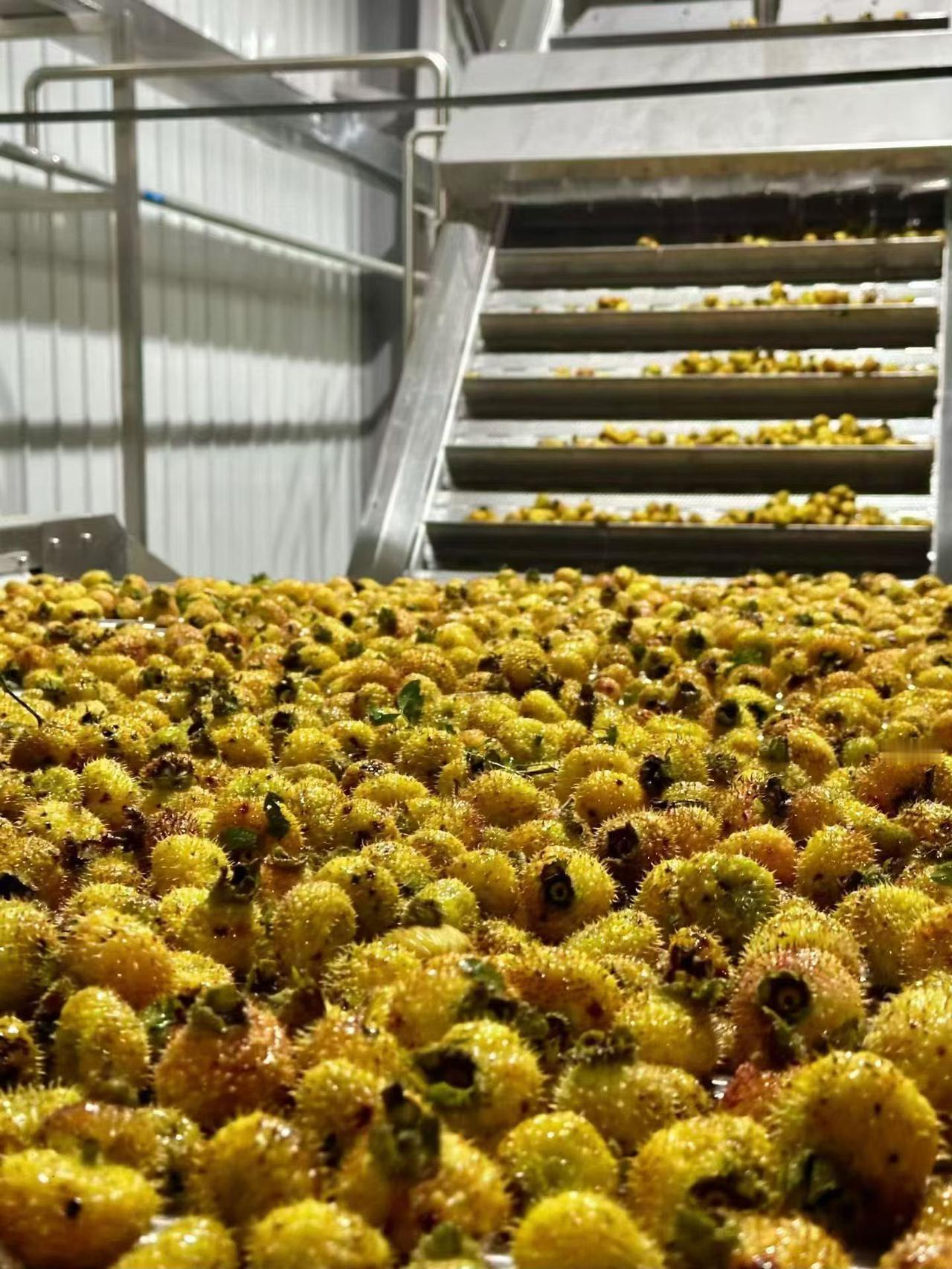 周一开盘，冲高回落如期而至！
在A股，冲高回落已经成为常态，造成冲高回落的最大祸