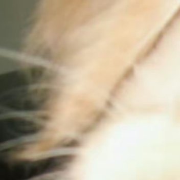 0000当深山幽谷中，一竿翠竹从岩缝间探出头颅。它的根系在贫瘠中蜿蜒百米，茎秆以