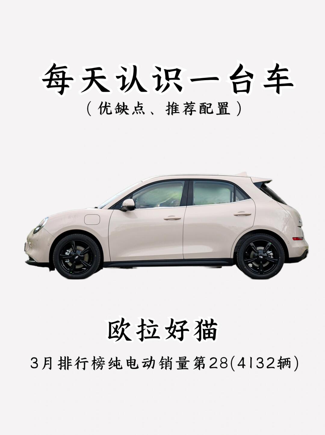 看完你还会买欧拉好猫吗⁉️