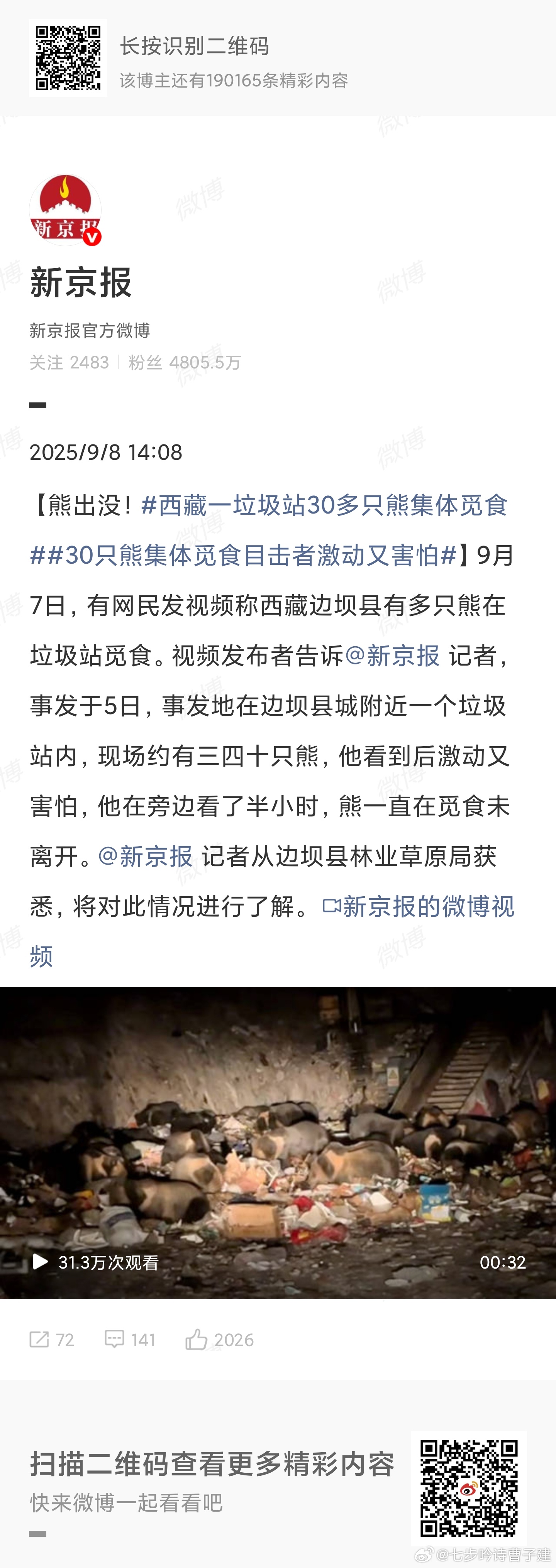 西藏一垃圾站30多只熊集体觅食好像老鼠[笑而不语] ​​​