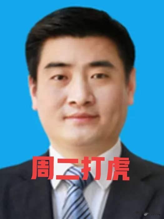 刚刚刷到界面快讯的消息，戴瑞被查，于是看了一下他的工作履历，1973年12月生的