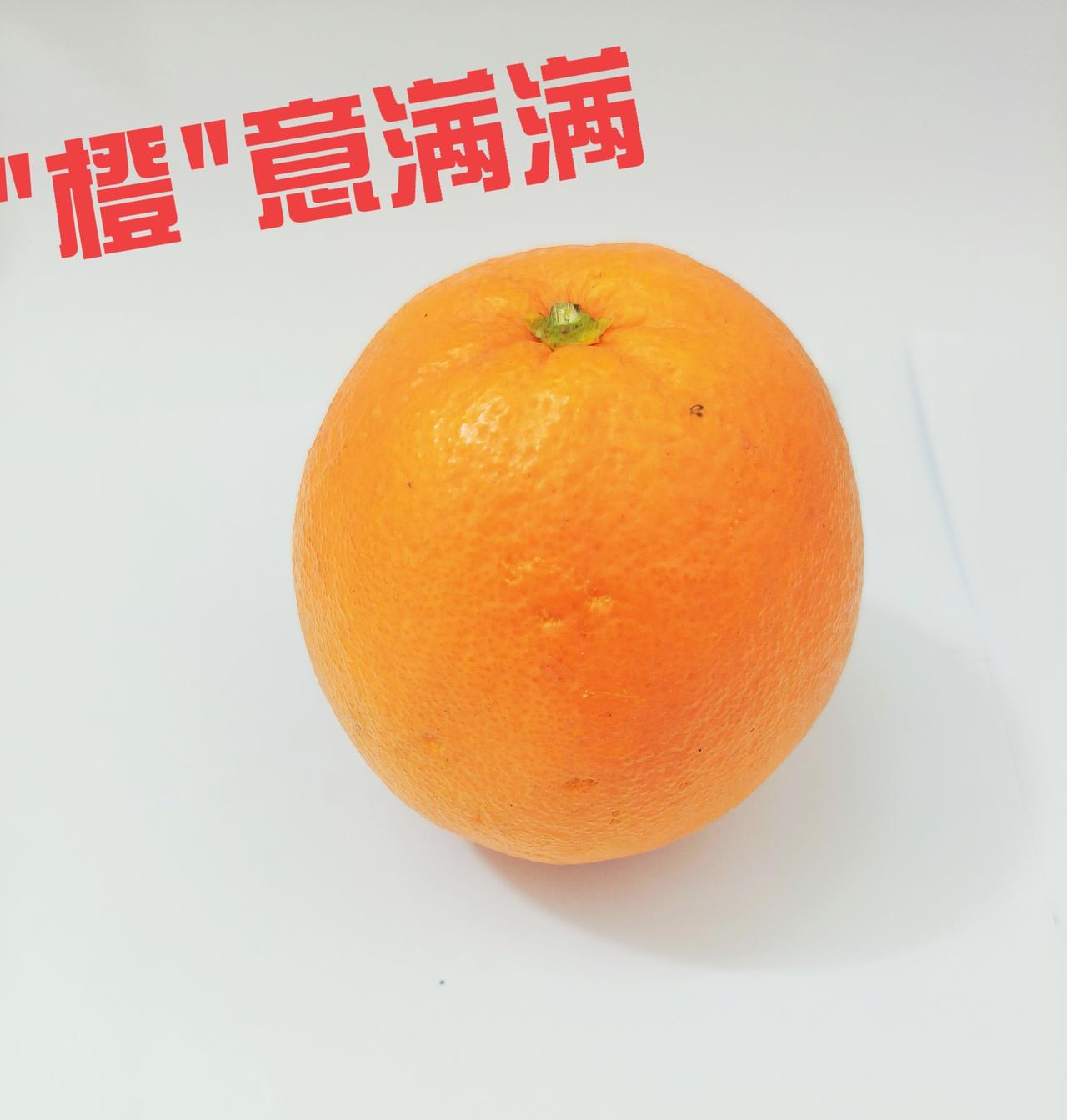 全网都在晒过冬的白菜，
我偏来晒个金灿灿的大橙子！🍊
 这橙子表皮油亮光滑，