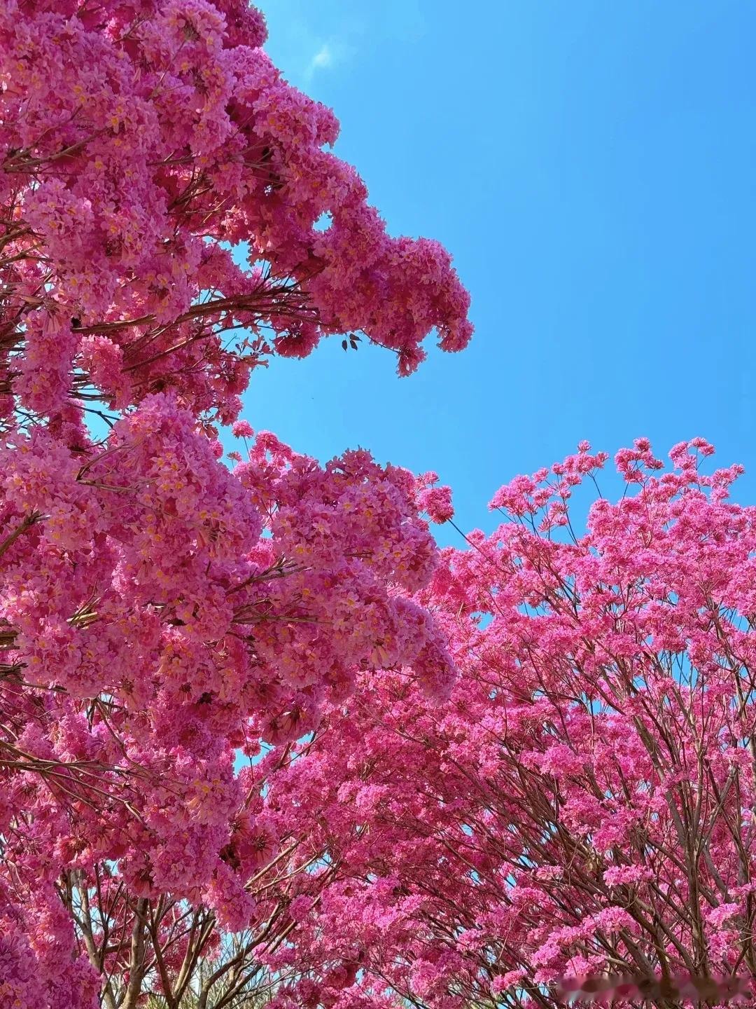 几个人合伙闹矛盾，没有分清公司股东关系与项目利益关系就容易导致各方由于对利益分配