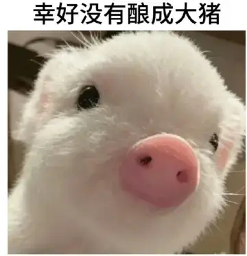 全世界的i猪猪人看到家敏都沦陷了 