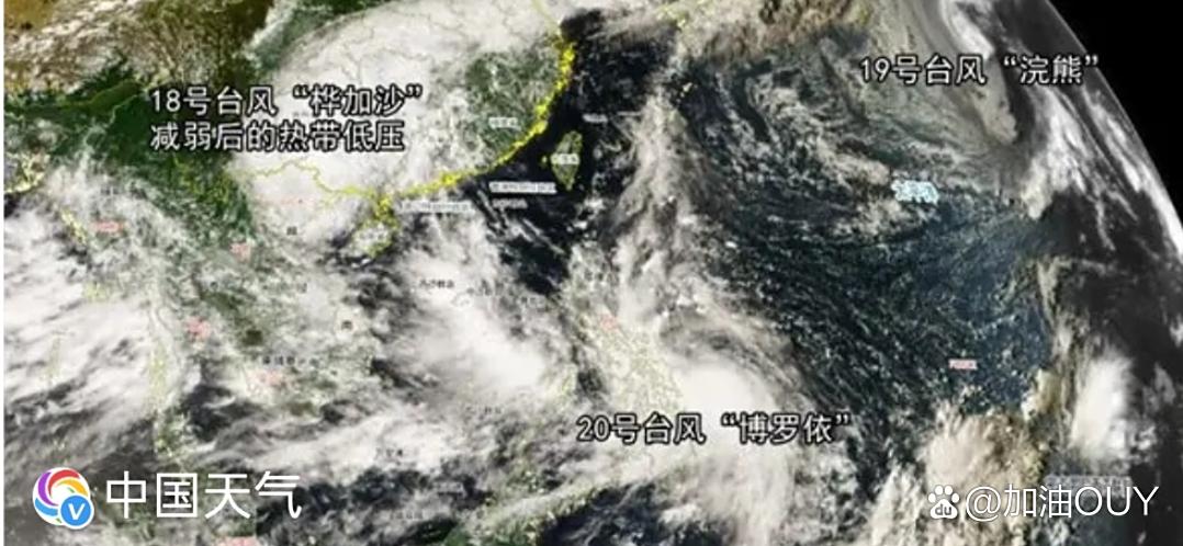 台风一个接一个！国庆假期或有新台风！
9月24日，“桦加沙”在广西减弱为热带低压