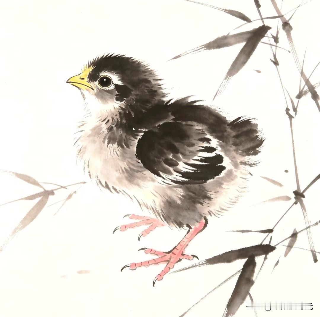 墨韵绘雏鸡，稚态惹人怜。
小画拾光水墨小鸡国风绘画分享