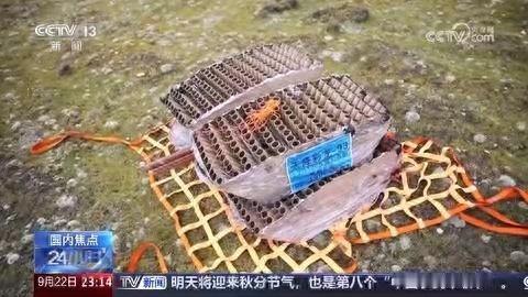 真解气，终于等到官媒发话：蔡国强炸山秀，涉嫌违法，依法从严追责。

舆论已经发展