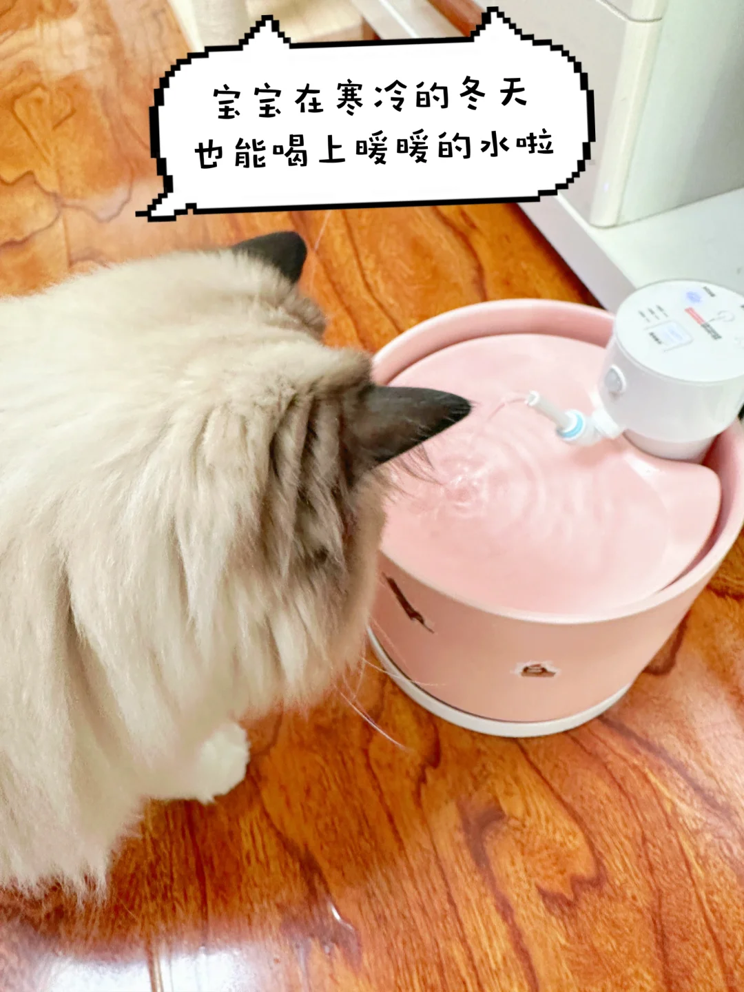 宝宝 冬天到了你也要多喝热水