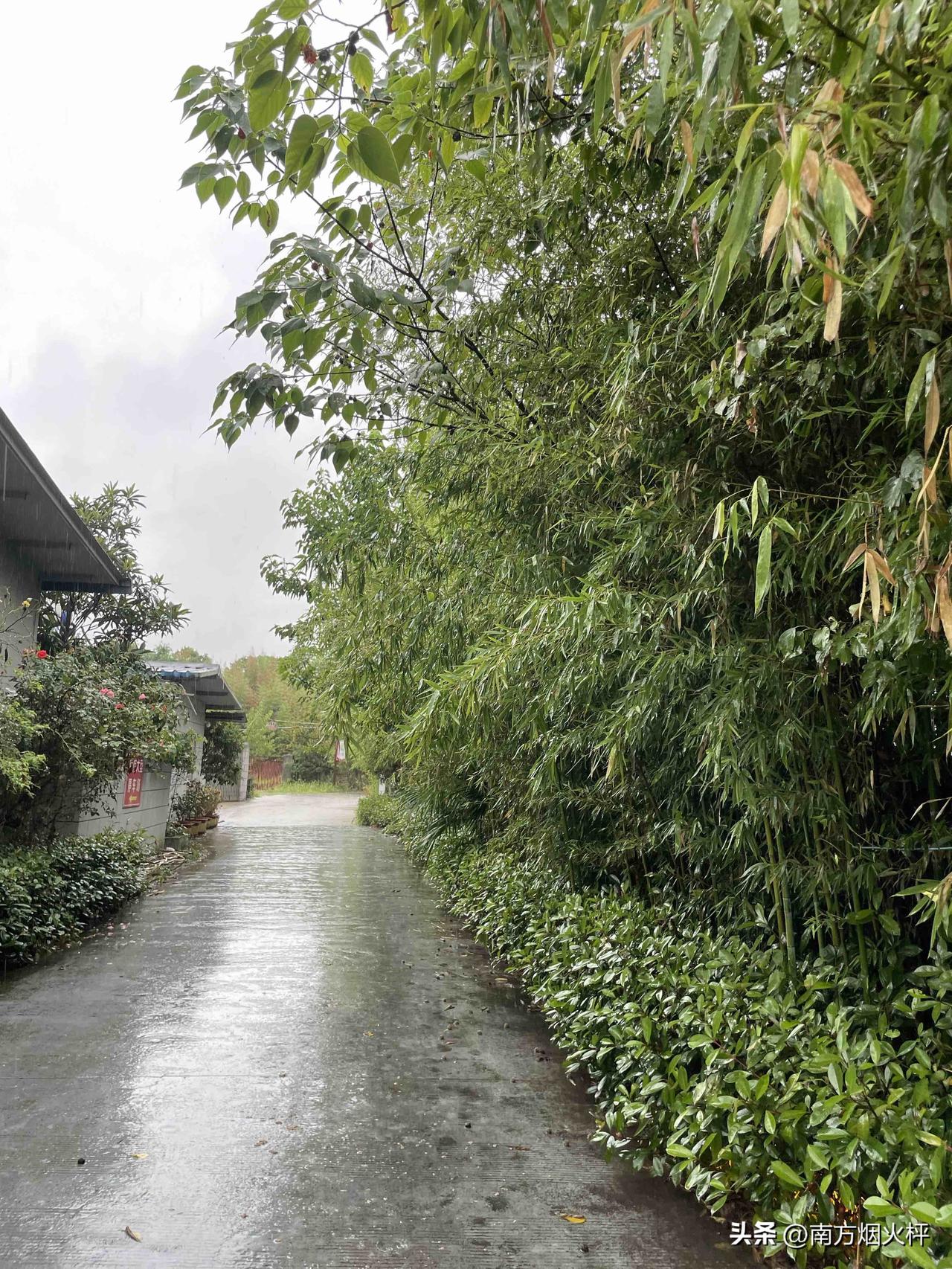 今天继续下雨，这会还是小雨，等会可能会变成大雨。