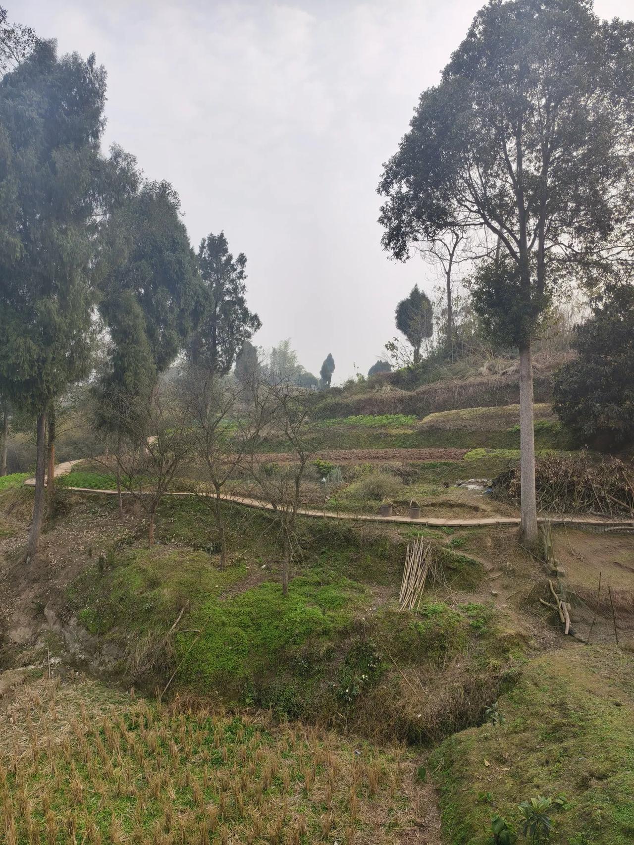 农村大路
        ——南木子
农村大路绕山坡，
太阳斜照景不错。
此刻过