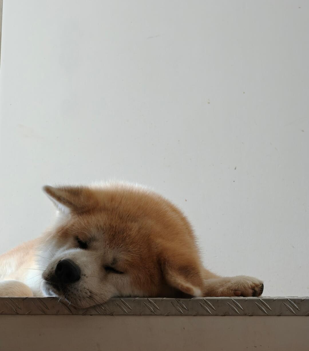 很安详