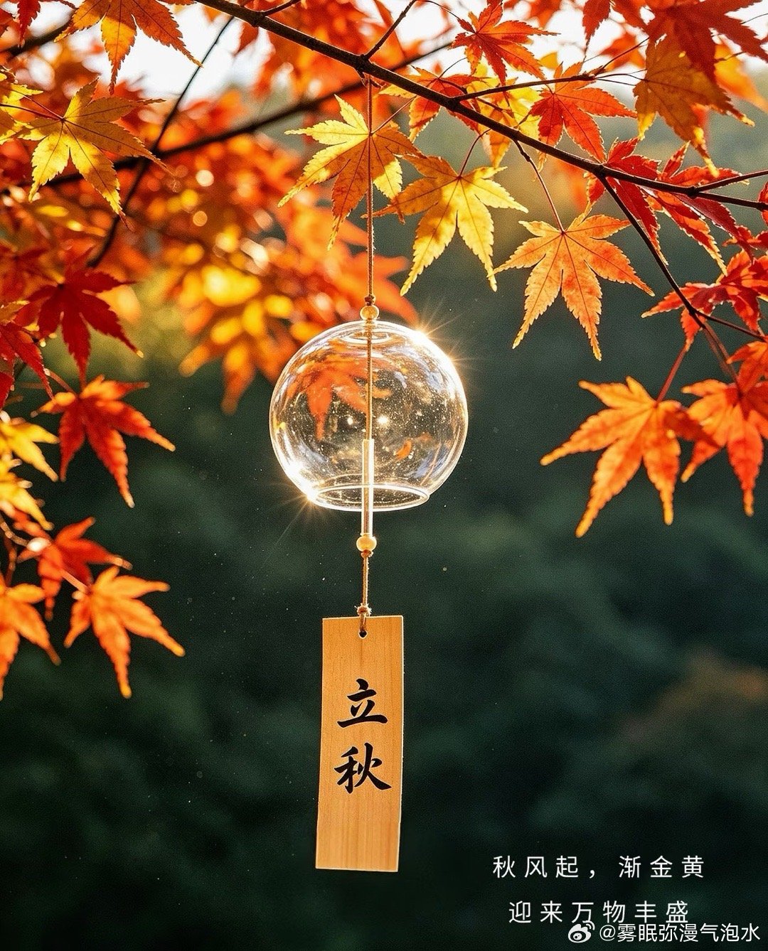 🍁ʜᴇʟʟᴏ 立ཽ秋ཽ 叮铃～🌻╭══╮╭═══════╮╭╯ 秋日福气正在