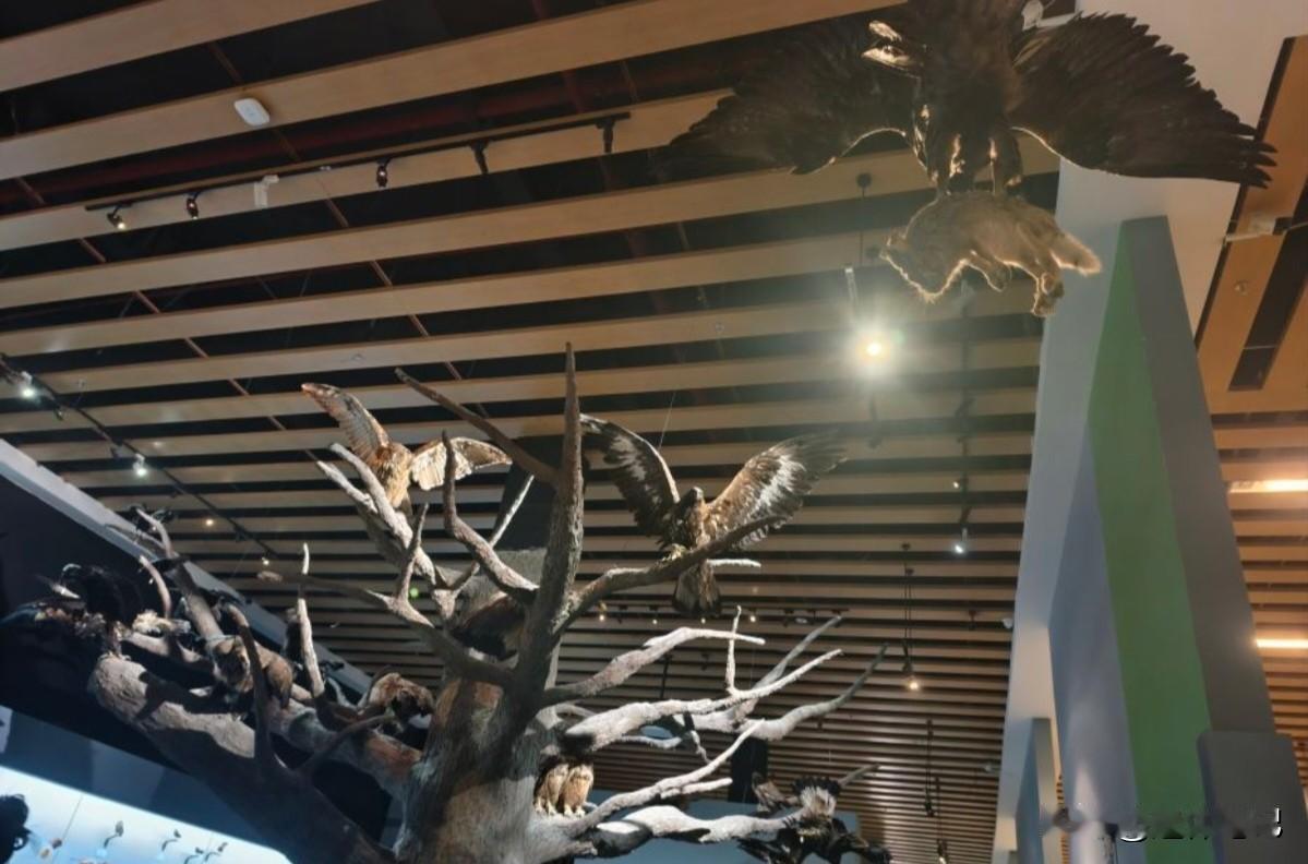 最近我感觉家乡已经进入到了深冬的季节，因为它毕竟是地处青藏高原地区，所以说气候条