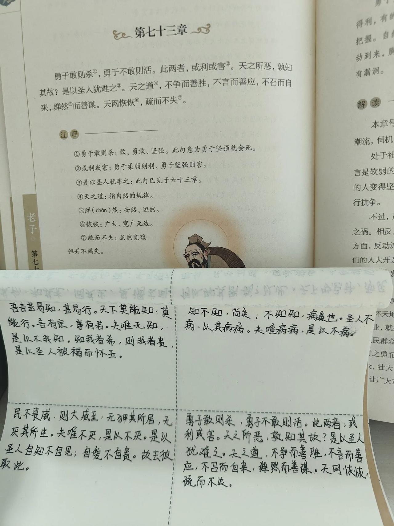 抄书打卡第25天，天网恢恢，疏而不失。