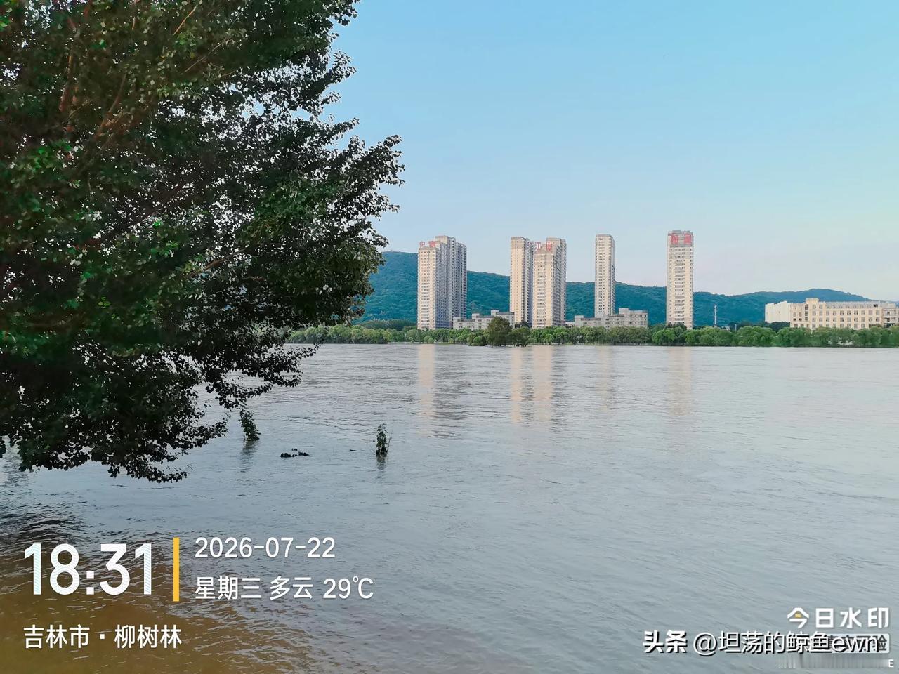 我想问一下吉林市的好朋友，还记得70年代夏天用“妈灵网”套蜻蜓的那些经历吗？
 