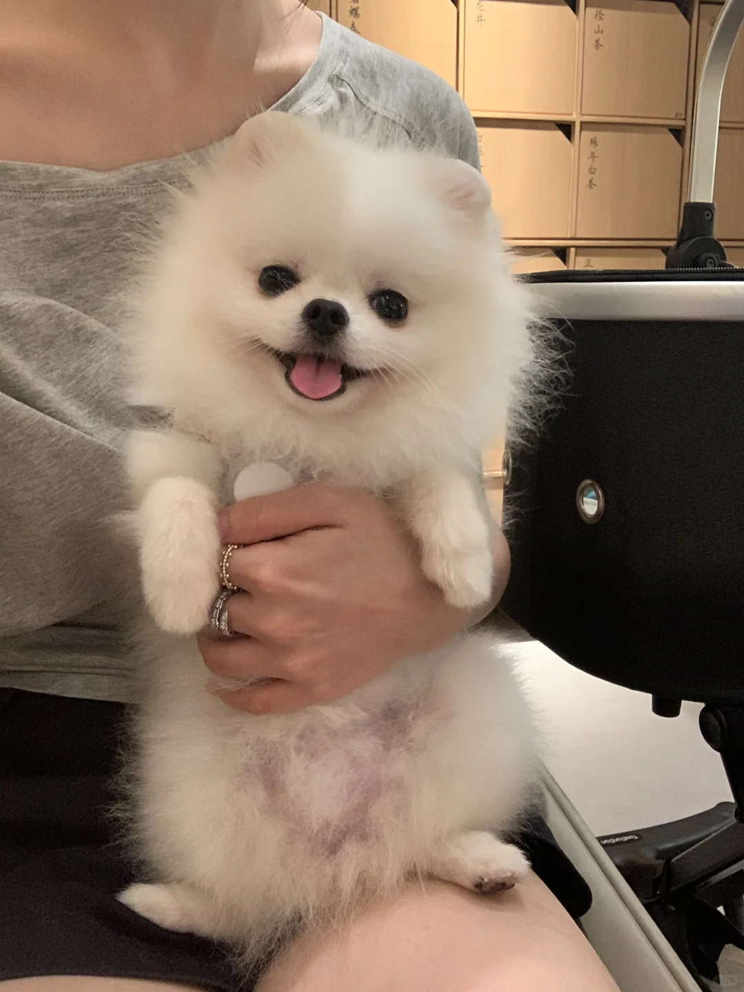 水灵灵的小熊崽 ^•͈༝•^ฅ