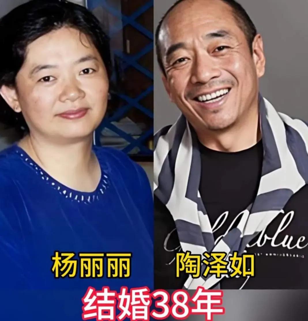 娱乐圈中恩爱低调夫妻。
陶泽如和妻子四十年的婚姻，放在绯闻满天飞的演艺圈，简直是