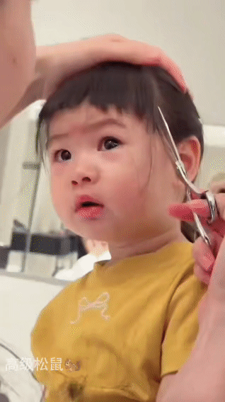 人类幼崽剪刘海大型“翻车现场”，表情管理全靠硬撑！
 
谁懂啊！理发店里来了个小