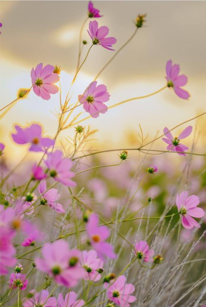 给你个很重要的忠告。这世上有3件傻事，你可千万别做：

第一，主动把钱借出去，然