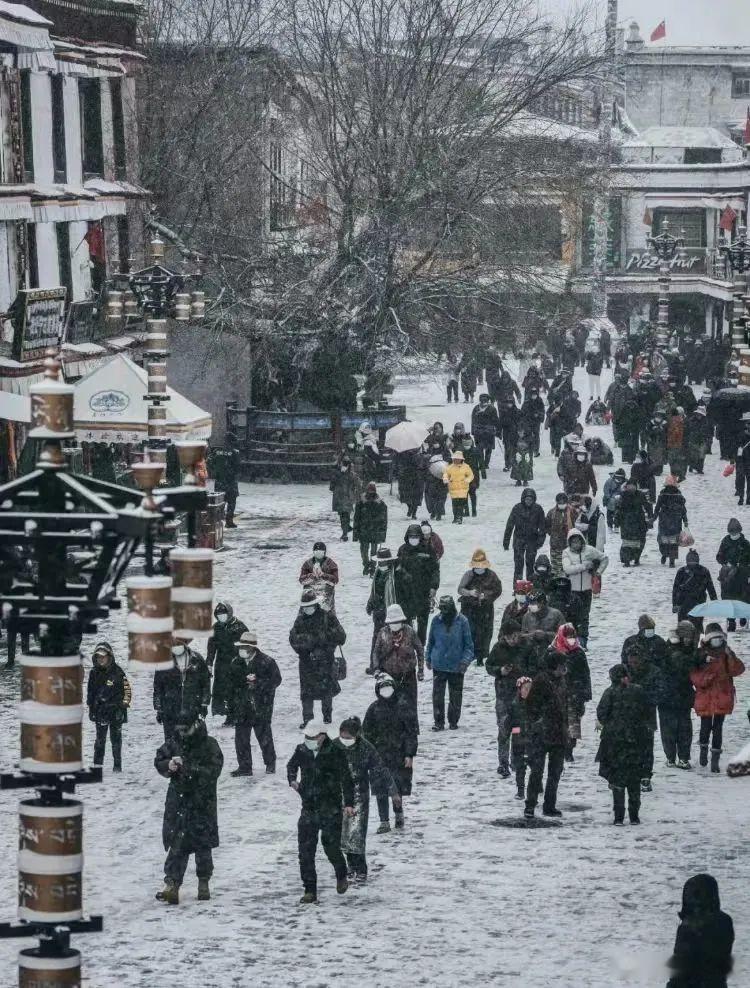 大自然对冬天的美自有安排  盖上白雪的藏式建筑和道路，落了叶的老树在路边静默着，