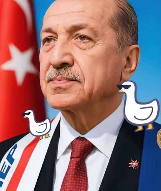 这次土耳其算是彻底打错了算盘！以为还能像当年卡我们要道那样，逼着中国企业低头。结