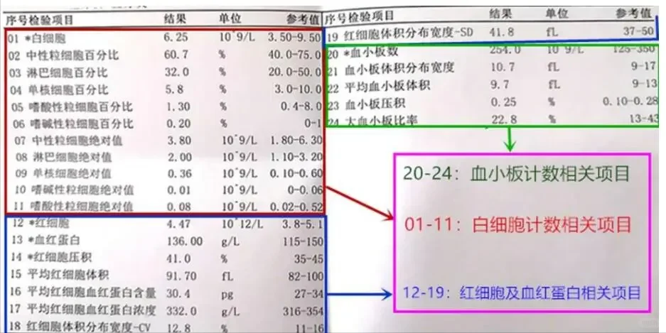 血常规报告不会看？血液科医生教您！