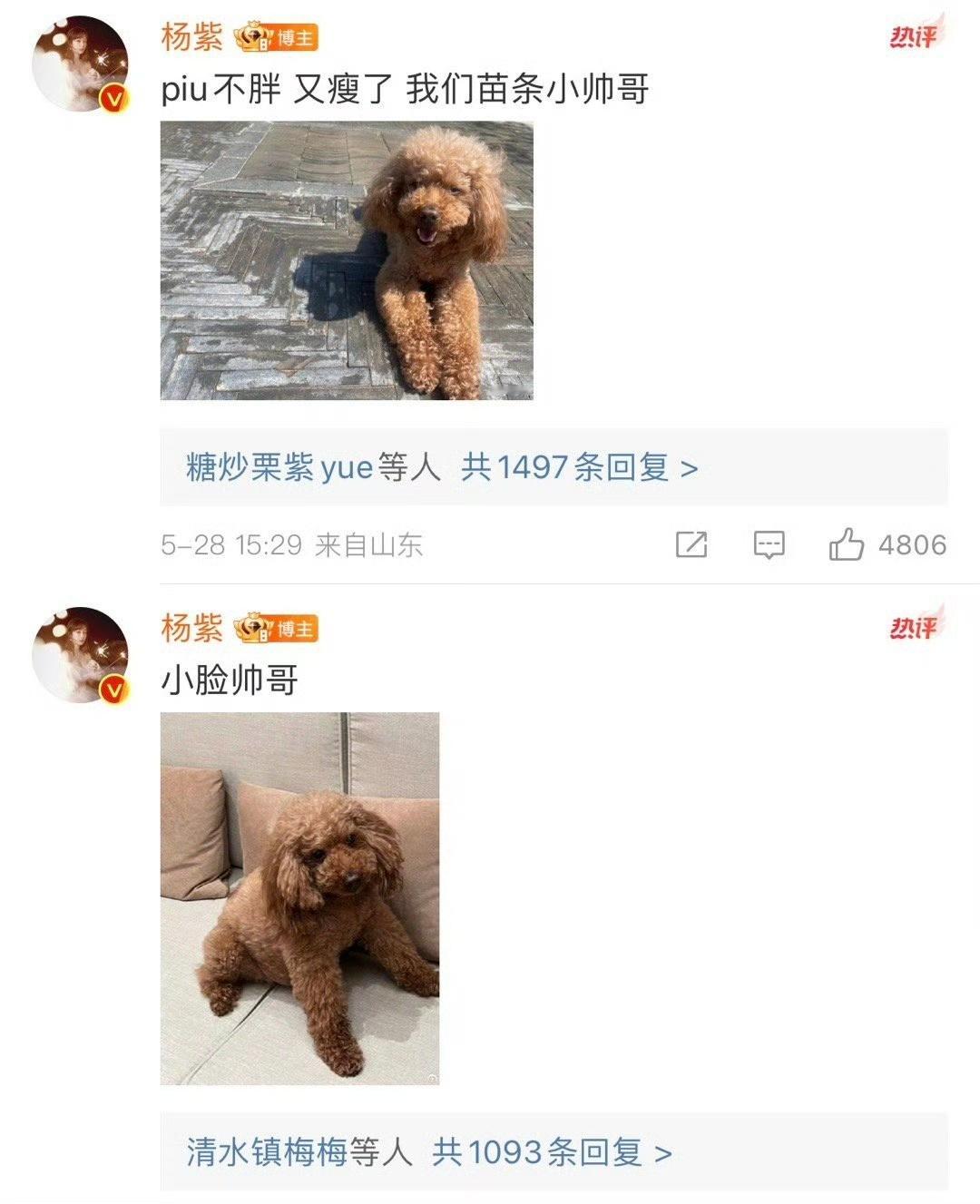 #杨紫在线帮piu仔辟谣##杨紫帮piu仔辟谣#杨紫帮piu仔辟谣，真是太好辣 