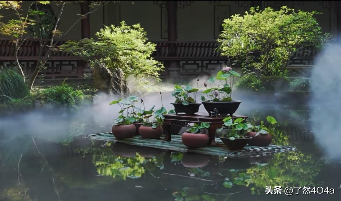 夏日生活打卡季晚风驱散白日燥热，冰镇瓜果摆在桌前。闲坐在树荫下，听蝉鸣阵阵。不必