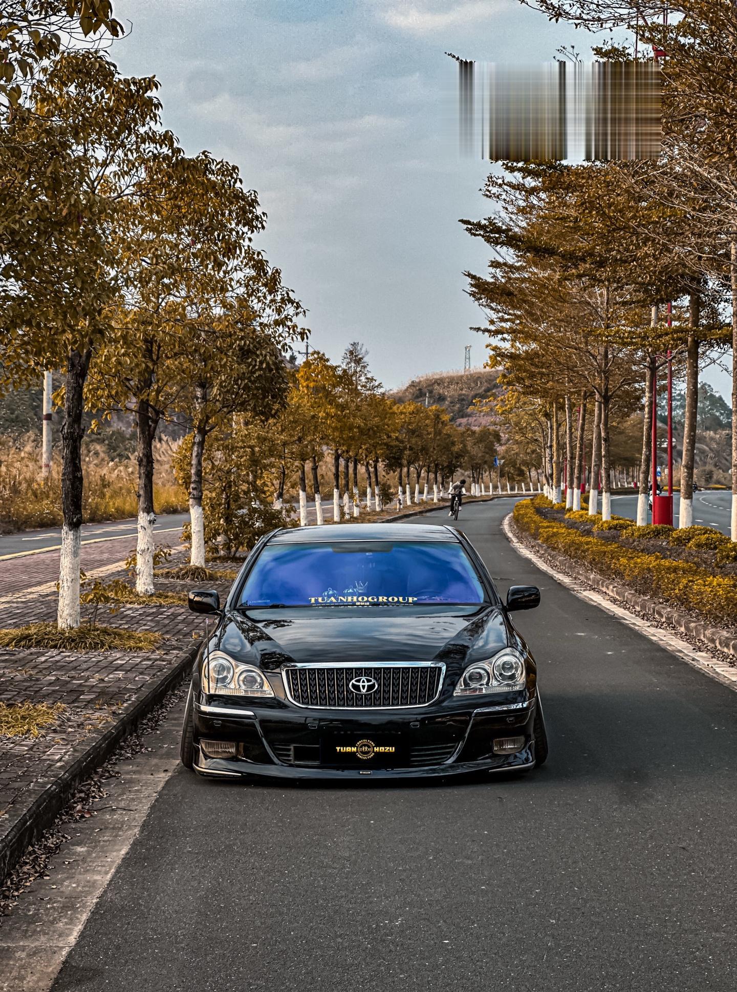 红旗盛世hq300  马杰斯坦 姿态  团钬组