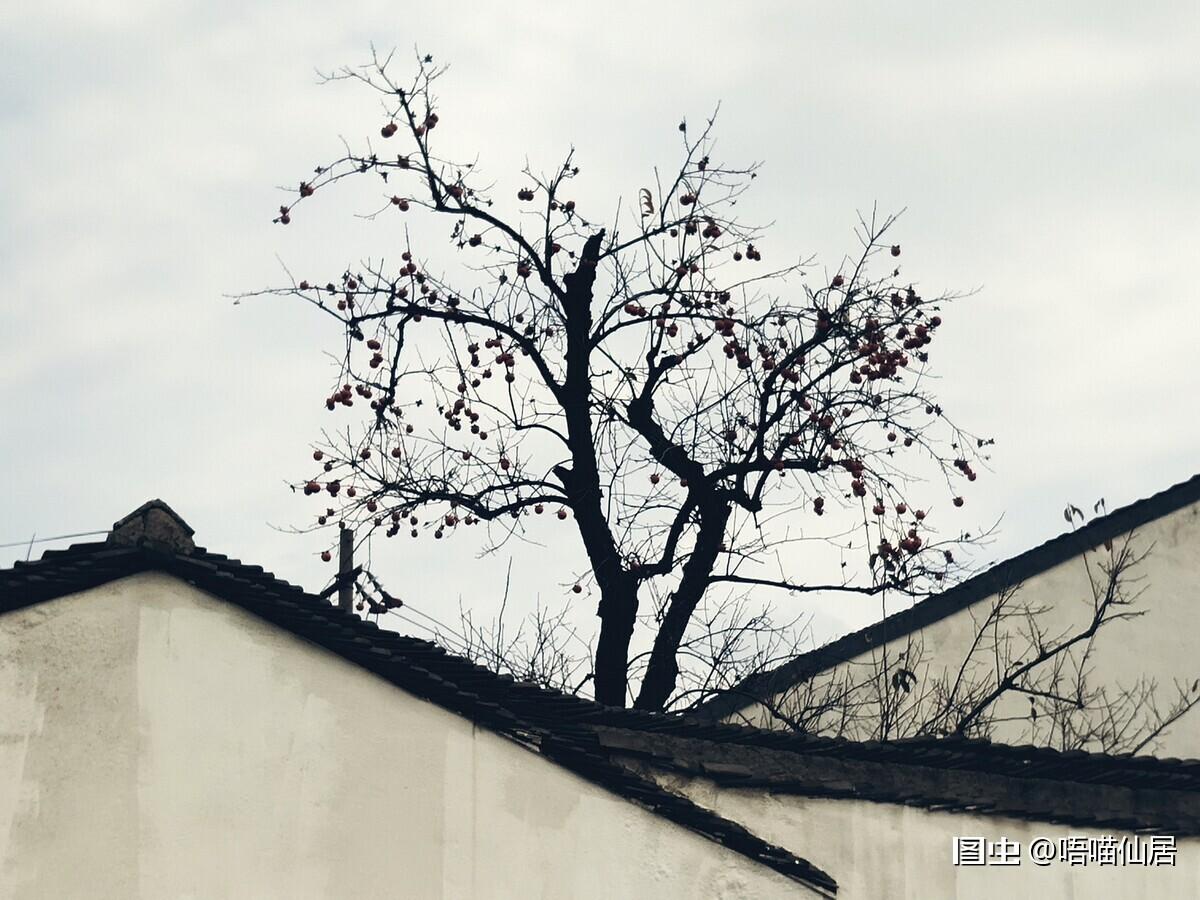 苏州姑苏老城区的一个小景