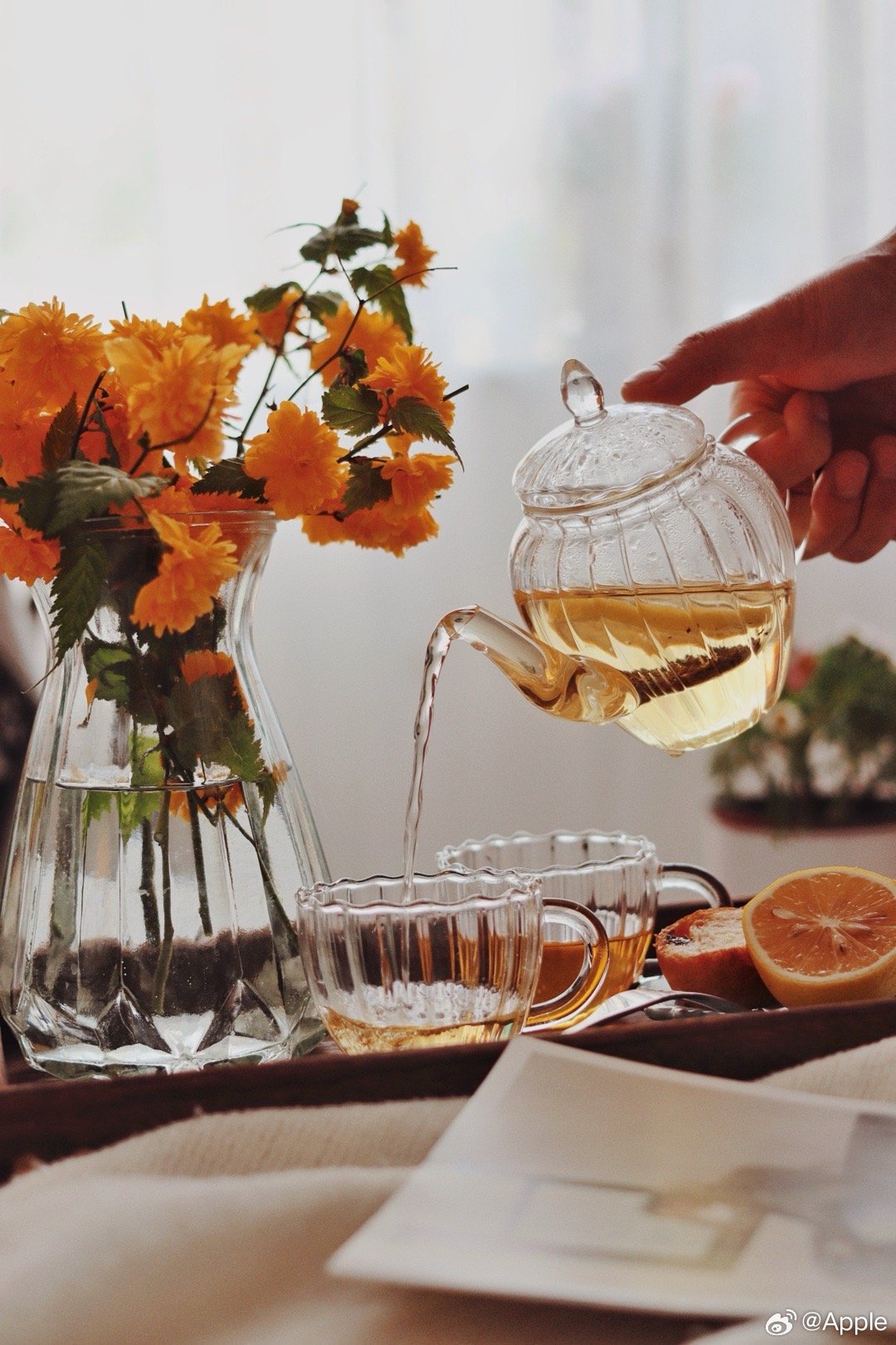 这辈子你有没有这样追过星 好家电从不是冰冷的机器，而是悄悄把日子熨帖成舒服的模样