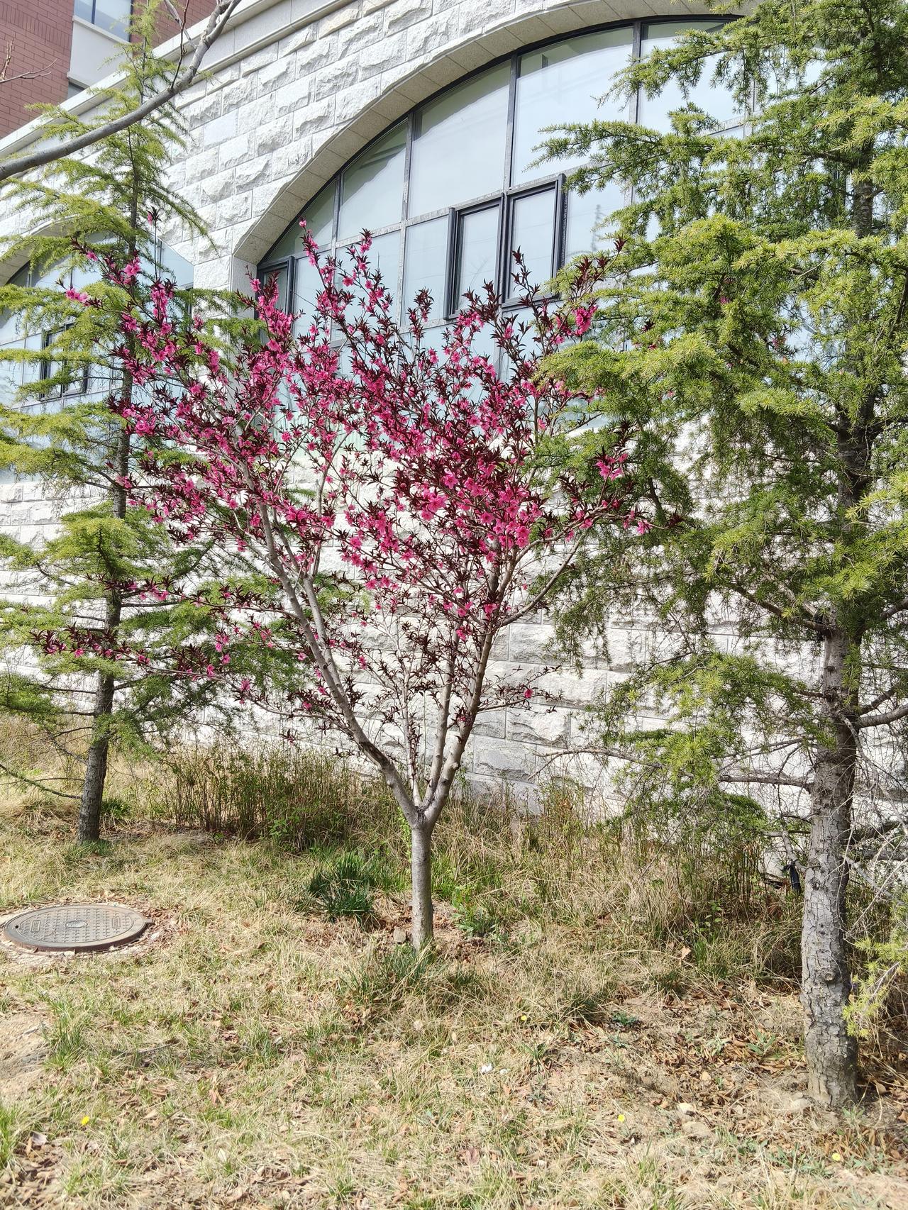 酒要少吃，事要多知

东晋孝武帝司马曜非常宠爱张贵妃，经常赏赐她许多宝物。只可惜