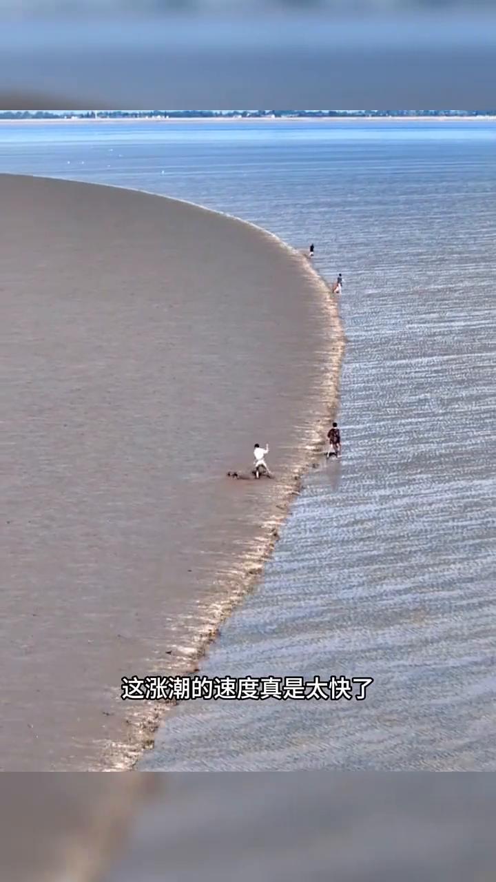 赶海遭遇涨潮了，快点跑。
现在的年轻人胆子是真大，为了赶海拾点海货，大海涨潮了，