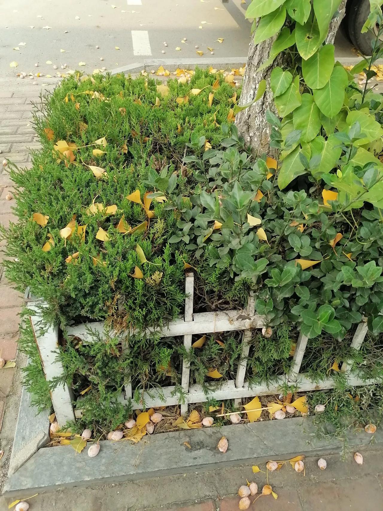 冬日生活打卡季人生处处是风景