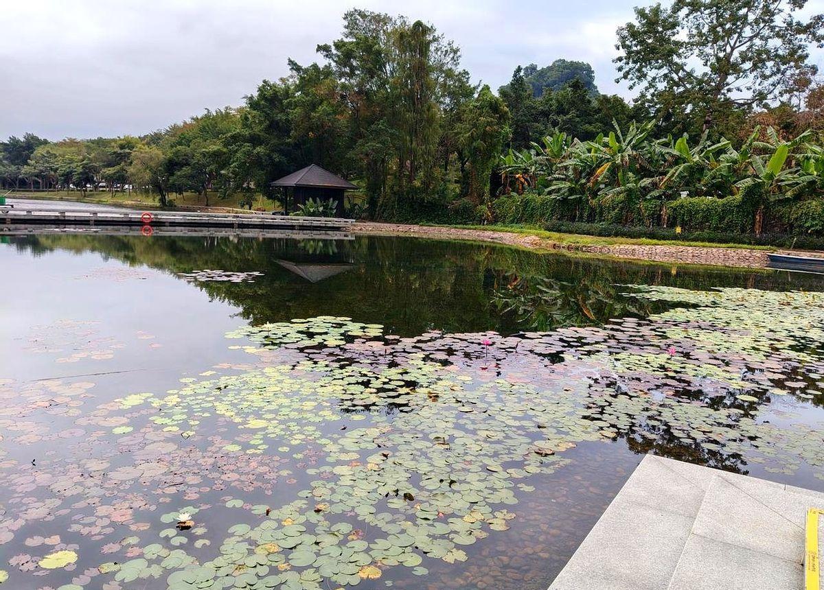 你盯着浮漂盼下沉，鱼却在等你做错一个动作。
浮漂点动两下就没反应了？
不是鱼走了