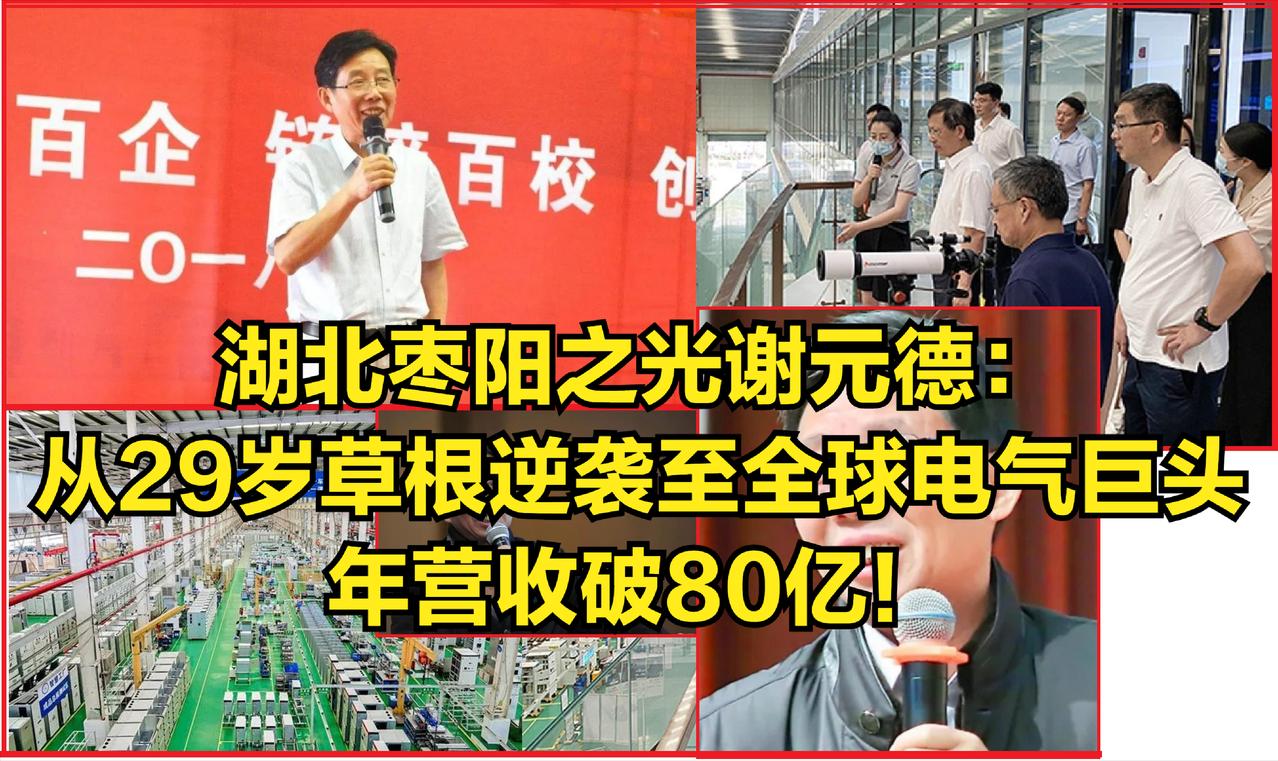 湖北枣阳之光谢元德：从29岁草根逆袭至全球电气巨头，年营收破80亿！
 
 


