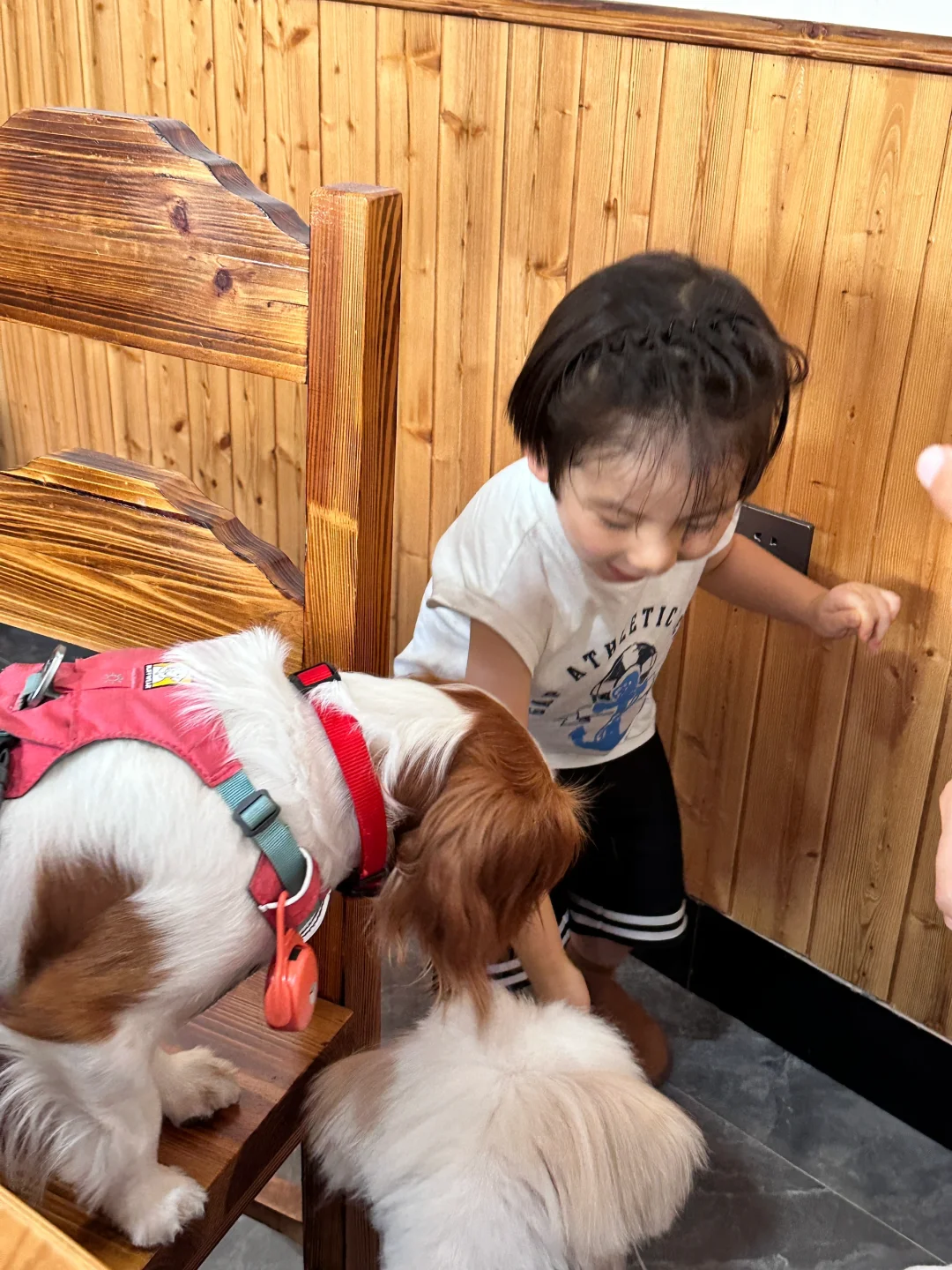 小孩与狗狗，在没有天花板的地方