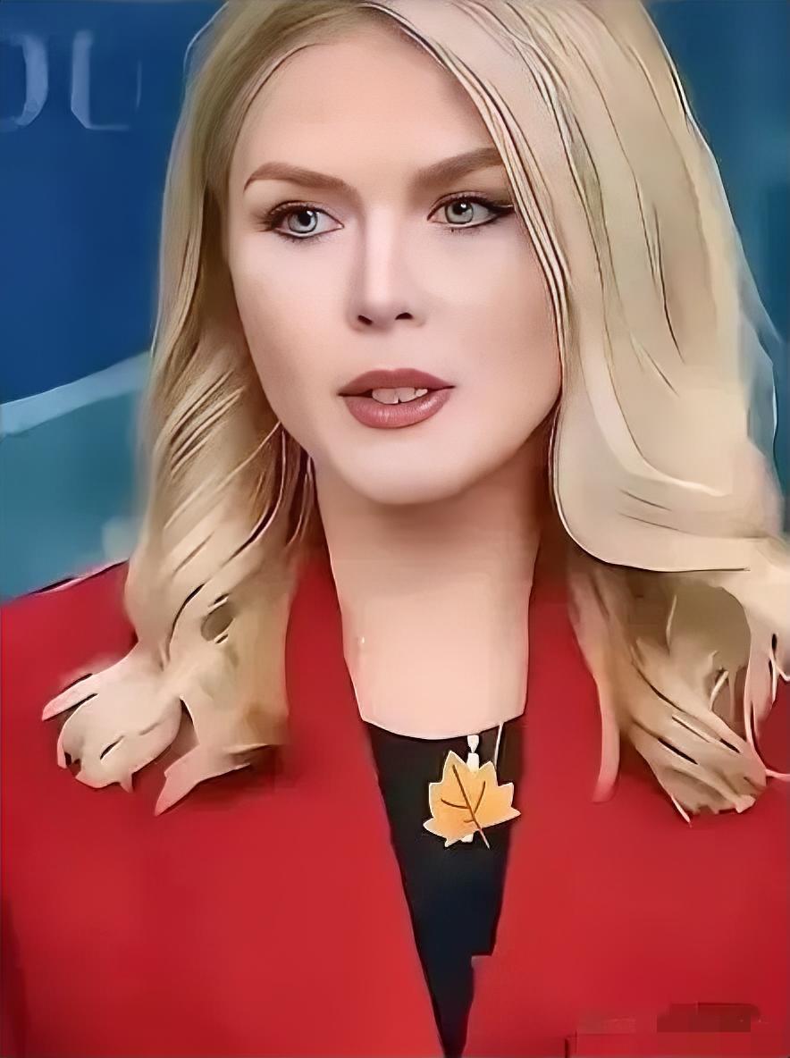 白宫新闻秘书莱维特表态！
2026年4月8日，美国白宫方面表示，有关美伊面对面会