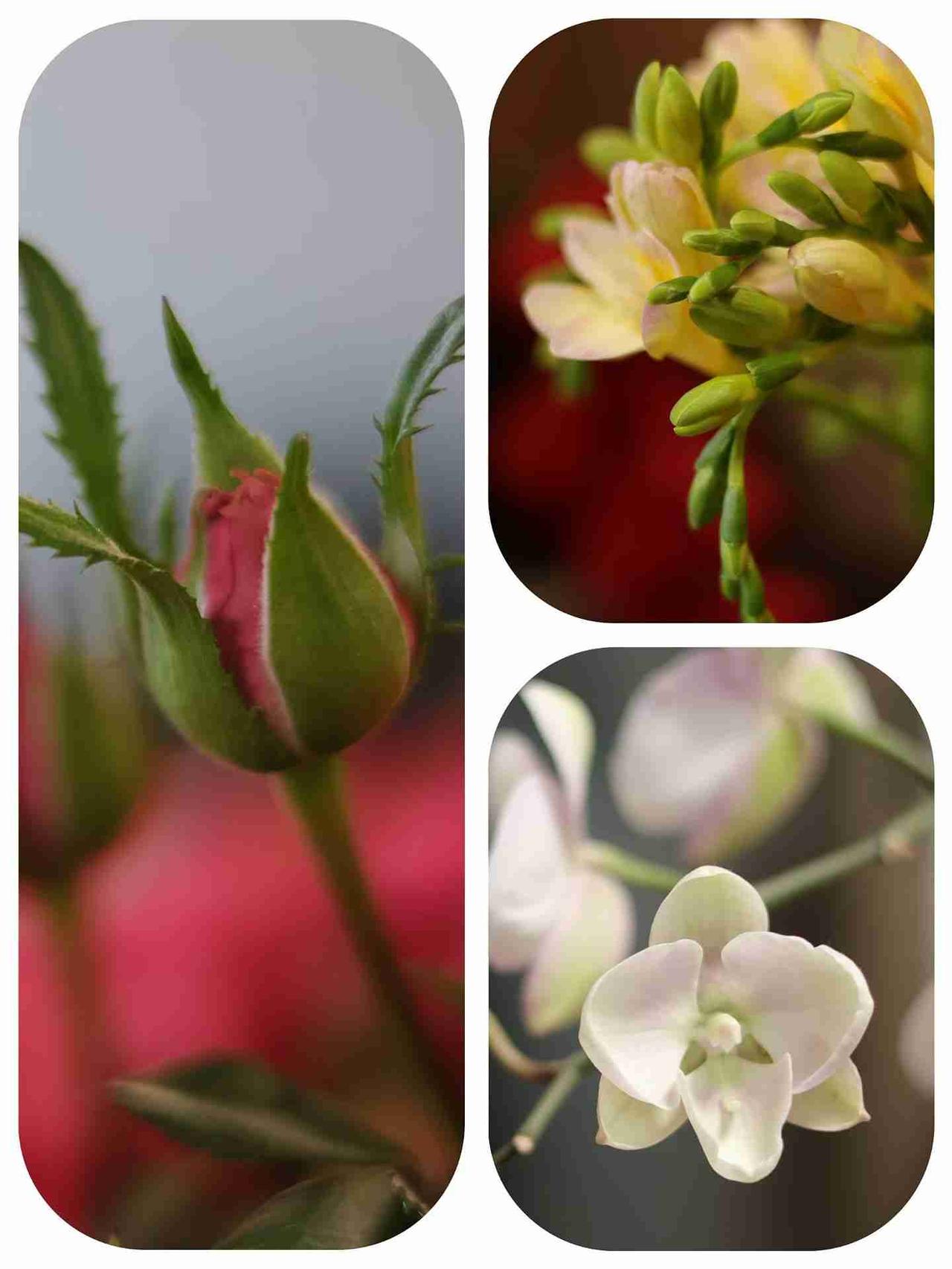 我的今日状态：😁轻松愉快
我这里的天气：☀️晴天