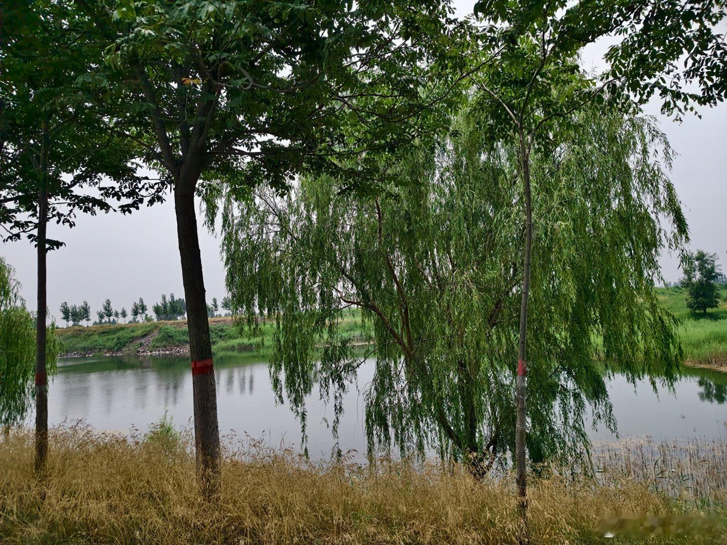 端午节回老家咯，嘿嘿空气好好