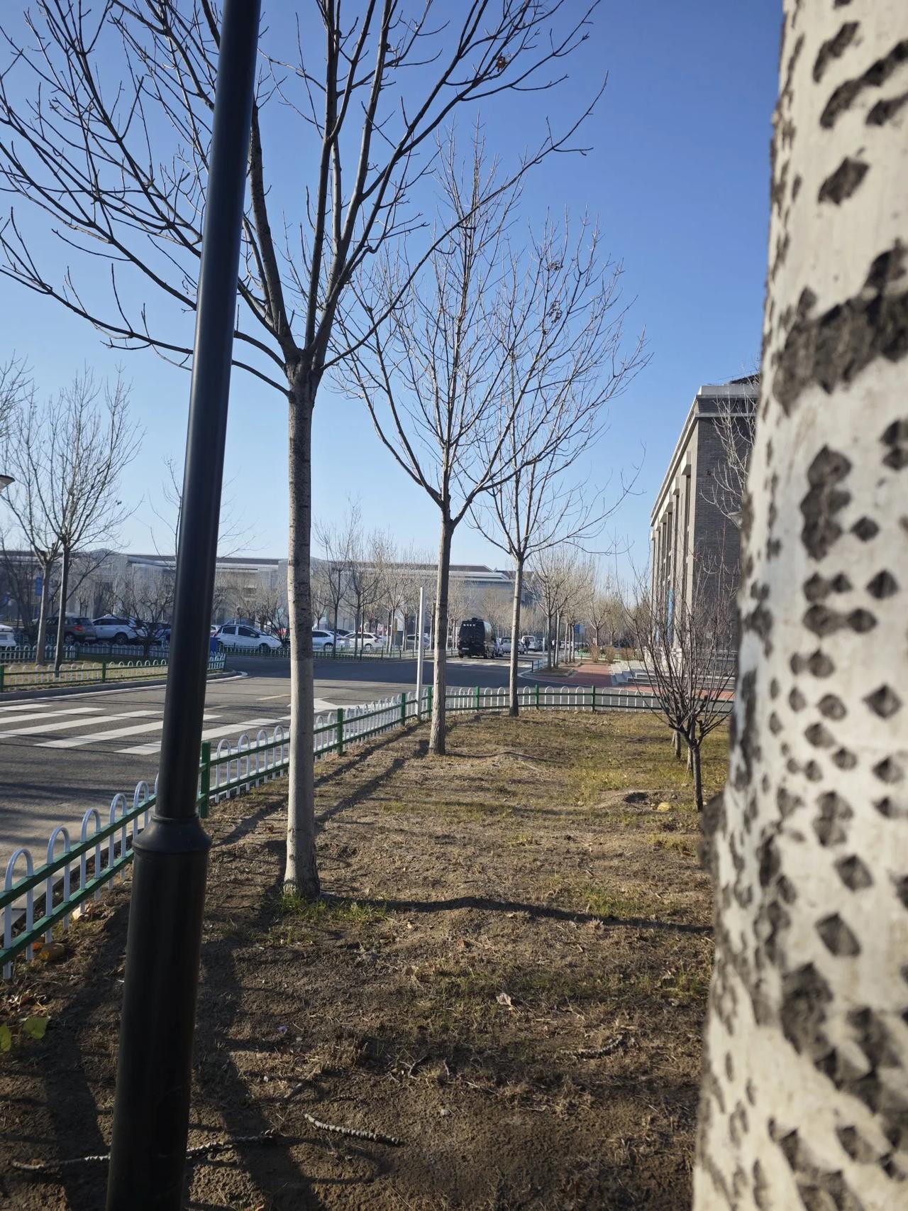 又要订报纸啦。每年一次，必须订。
其实，根本就不看
一张张来，一捆捆扔。
信息时