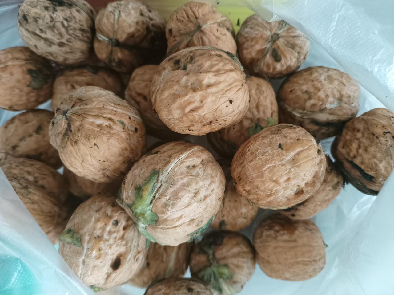 这是个新鲜果实出炉的季节。平常买新鲜核桃10元每斤，去早市发现是8元每斤。
看来