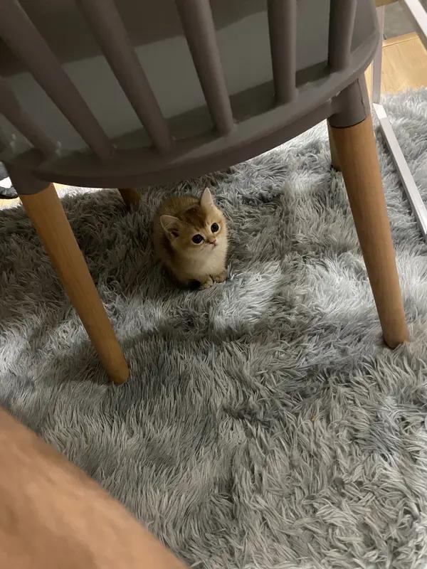 你觉得养儿子最需要注重什么 养儿子可不只是让他吃饱穿暖，有几个方面得重点关注。