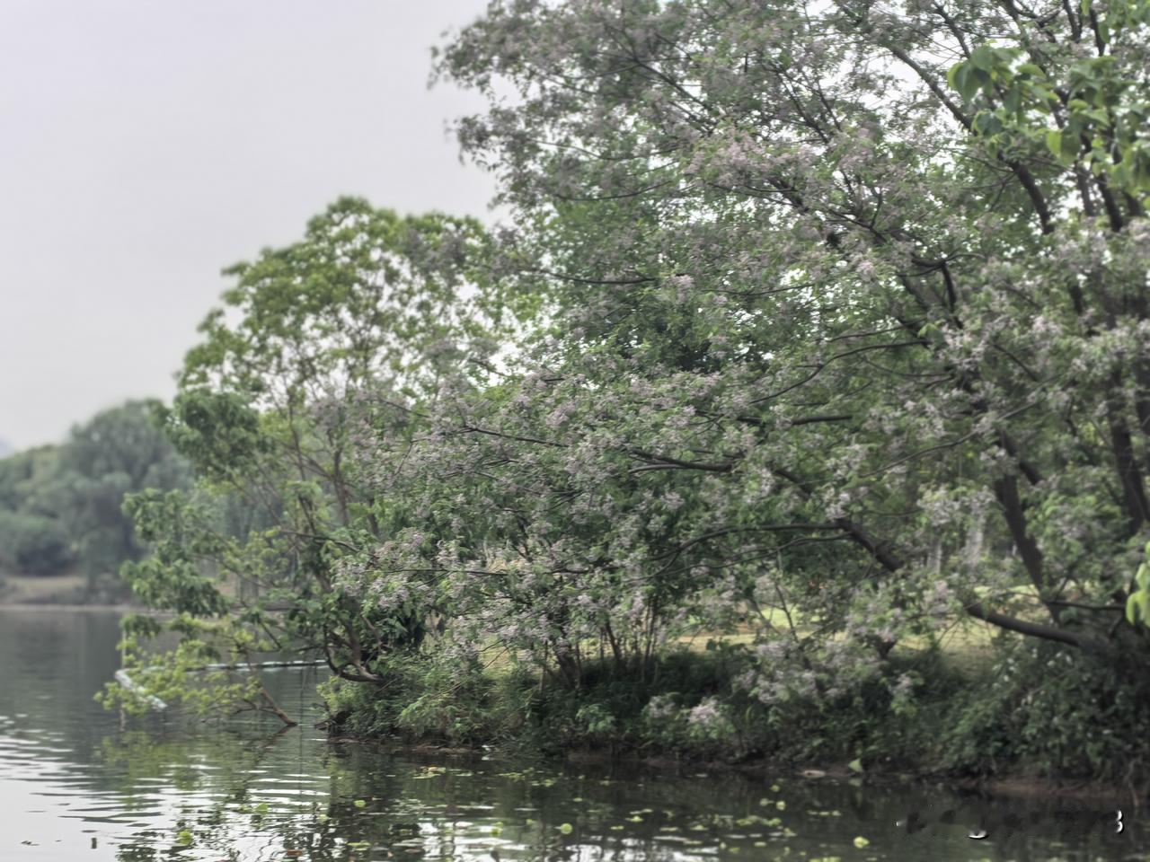 60岁生日就在5月份，好想再重启一次人生。

提一个小布袋，穿平底鞋，宽松牛仔裤