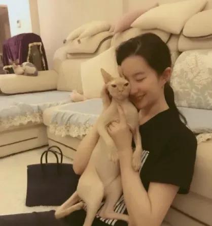 刘亦菲的猫太贵气，50多只猫和狗，看来是个非常善良有爱心的人，但是家里空气能好吗