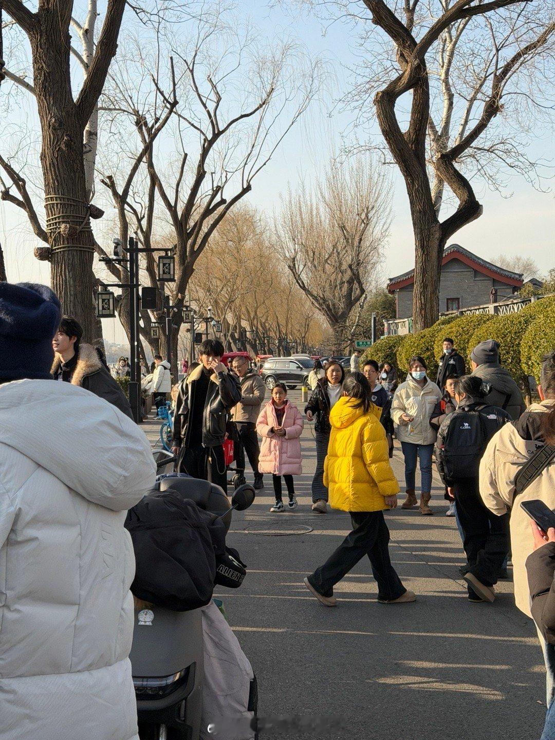 黄誉博什刹海偶遇姚琛黄誉博冬泳 姚琛黄誉博什刹海冬泳计划从下水体验降级为岸上观光