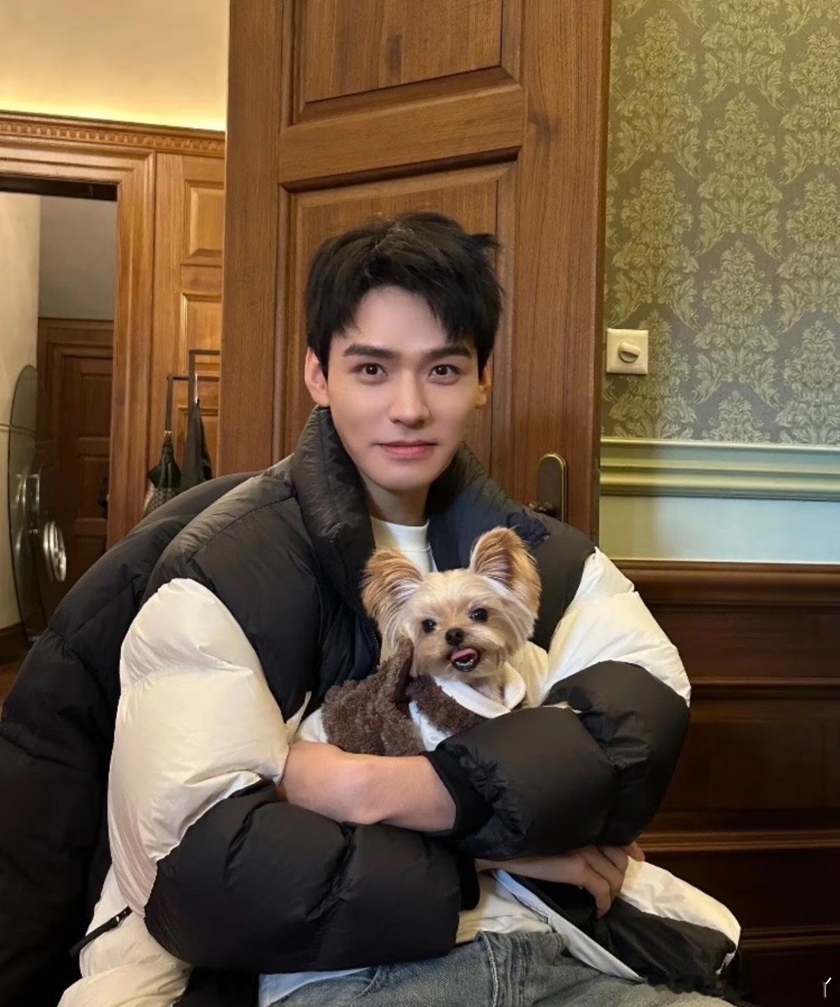 孟子义龚俊张凌赫 百灵鸟开会双11疯狂好六夜 看海报上那只百灵鸟，真的是让人满心