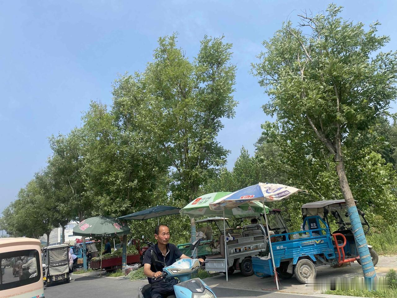 晒图笔记大赛乡村小路边的日常，悠闲的午后时光。